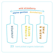 Lade das Bild in den Galerie-Viewer, DICK & STEIN - BATCH 0 - Limited Edition - unfiltered london dry gin - 45,7% vol. - 50cl