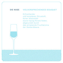 Lade das Bild in den Galerie-Viewer, DICK & STEIN - BATCH 0 - Limited Edition - unfiltered london dry gin - 45,7% vol. - 50cl