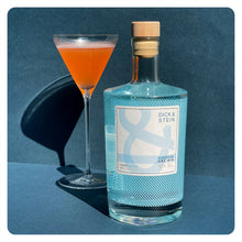 Lade das Bild in den Galerie-Viewer, DICK & STEIN GIN - unfiltered london dry gin - 45,7% vol. - 50cl