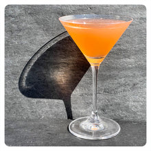 Lade das Bild in den Galerie-Viewer, DICK & STEIN GIN - unfiltered london dry gin - 45,7% vol. - 50cl