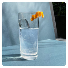 Lade das Bild in den Galerie-Viewer, DICK & STEIN GIN - unfiltered london dry gin - 45,7% vol. - 5cl