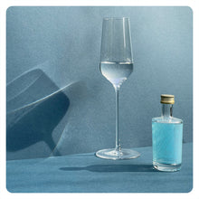 Lade das Bild in den Galerie-Viewer, DICK &amp; STEIN GIN - unfiltered london dry gin - 45,7% vol. - 5cl
